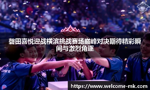 mk体育官网